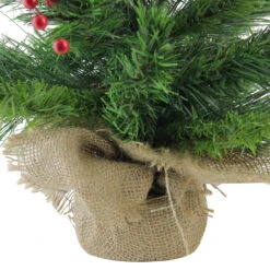 24" Mixed Cashmere Berry Pine Medium Artificial Christmas Tree - Unlit 11 24" Mixed Cashmere Berry Pine Medium Artificial Christmas Tree - Unlit -Xmas Trees Shop 4fszc7qvvh13bkrz4obzvfcqiilqrfuf 13163.1684869033