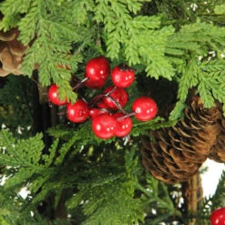 5' Slim Mixed Cedar Pine Entryway Artificial Christmas Tree - Unlit -Xmas Trees Shop cfyznzqotrg1zrz5gl3npctgqlvsivne 11957.1667578546