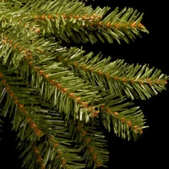 6.5’ Pre-Lit Dunhill Fir Artificial Christmas Tree – Clear Lights -Xmas Trees Shop dnat20duh 65lo 3 80582.1667488301