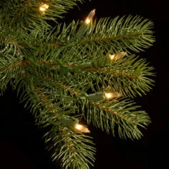 6.5’ Pre-Lit Downswept Douglas Fir Artificial Christmas Tree - Clear Lights 5 6.5’ Pre-Lit Downswept Douglas Fir Artificial Christmas Tree - Clear Lights -Xmas Trees Shop dnat20pedd1 312 65 2 88027.1667658044