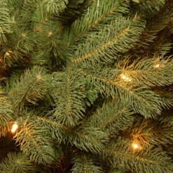 7.5’ Pre-Lit Downswept Douglas Slim Fir Artificial Christmas Tree - Clear Lights 5 7.5’ Pre-Lit Downswept Douglas Slim Fir Artificial Christmas Tree - Clear Lights -Xmas Trees Shop dnat20pedd4 392 75 3 09285.1686080039