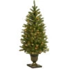 4’ Pre-Lit Dunhill FirArtificial Christmas Tree – Clear Lights