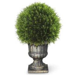 27" Upright Juniper Ball Topiary Tree In Urn - Unlit