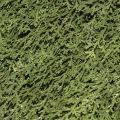 27" Upright Juniper Ball Topiary Tree In Urn - Unlit -Xmas Trees Shop dnat lcy4 704 27 3 32463.1667643292