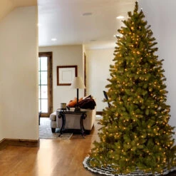7.5' Pre-Lit Douglas Fir Artificial Christmas Tree - Clear Lights 7 7.5' Pre-Lit Douglas Fir Artificial Christmas Tree - Clear Lights -Xmas Trees Shop dnat pedd1 323 75 4 46777.1667663605