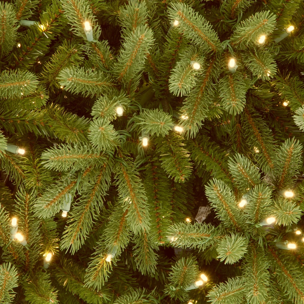 6.5’ Pre-Lit Jersey Fraser Fir Medium Artificial Christmas Tree – Clear Lights 3 6.5’ Pre-Lit Jersey Fraser Fir Medium Artificial Christmas Tree – Clear Lights - Image 3