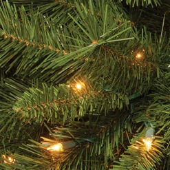6.5’ Pre-Lit Winchester Pine Artificial Christmas Tree - Clear Lights 5 6.5’ Pre-Lit Winchester Pine Artificial Christmas Tree - Clear Lights -Xmas Trees Shop dnat wch7 300 65 3 65308.1667571929