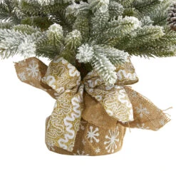 2' Potted Flocked Artificial Christmas Tree With Pinecones, Unlit 12 2' Potted Flocked Artificial Christmas Tree With Pinecones, Unlit -Xmas Trees Shop dnnl20t1986 6 52994.1681393426
