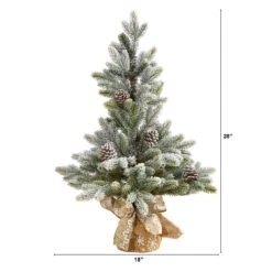 2' Potted Flocked Artificial Christmas Tree With Pinecones, Unlit 13 2' Potted Flocked Artificial Christmas Tree With Pinecones, Unlit -Xmas Trees Shop dnnl20t1986 7 08347.1681393426
