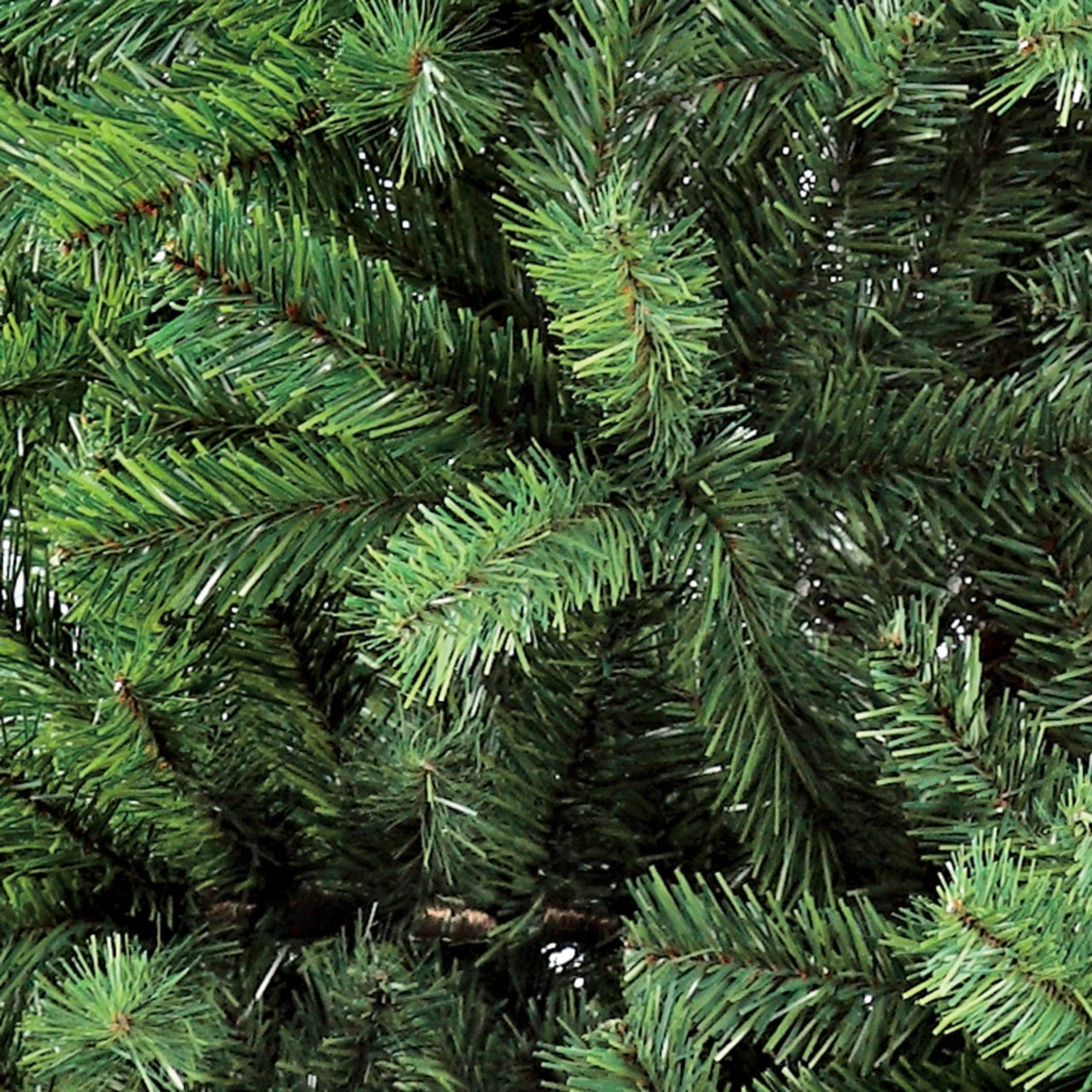 7’ Medium Fraser Fir Artificial Christmas Tree – Unlit 3 7’ Medium Fraser Fir Artificial Christmas Tree – Unlit - Image 3