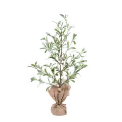 2.25" Potted Green Christmas Mistletoe Berry Tree - Unlit