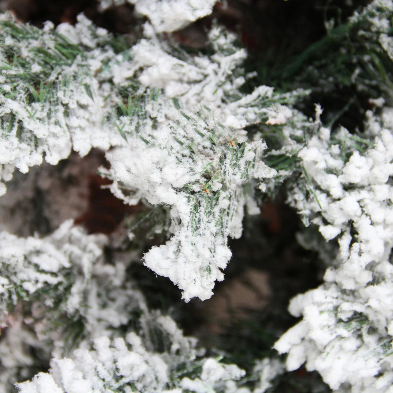 4.5' Heavily Flocked Pine Medium Artificial Christmas Tree - Unlit 2 4.5' Heavily Flocked Pine Medium Artificial Christmas Tree - Unlit - Image 2