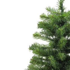 2' Medium Canadian Pine Artificial Christmas Tree - Unlit -Xmas Trees Shop j4dqfq8mnros6hr5k49xrbsc8kh2a3yo 22939.1667575617