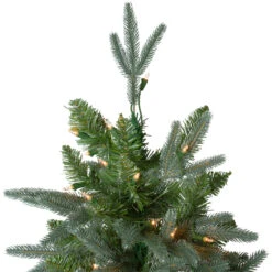 6.5' Pre-Lit Washington Frasier Fir Artificial Christmas Tree - Clear Lights -Xmas Trees Shop northlight b03885 3 93445.1680198597