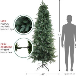 7.5' Green Slim Washington Frasier Fir Artificial Christmas Tree - Unlit -Xmas Trees Shop northlight b03891 thumbnail 2 45333.1680198193