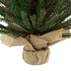 18" Warsaw Twig Artificial Christmas Tree In Burlap Base - Unlit 7 18" Warsaw Twig Artificial Christmas Tree In Burlap Base - Unlit -Xmas Trees Shop northlight b03906 4 67822.1669400658