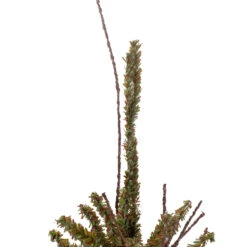 2.5' Green And Brown Warsaw Twig Artificial Christmas Tree With Burlap Base - Unlit -Xmas Trees Shop northlight b03910 1 48973.1667575946