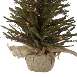 2.5' Pre-Lit Warsaw Two-Tone Twig Artificial Christmas Tree - Clear Lights 8 2.5' Pre-Lit Warsaw Two-Tone Twig Artificial Christmas Tree - Clear Lights -Xmas Trees Shop northlight b03911 3 48967.1667663639