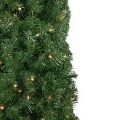 6' X 20" Pre-Lit Traditional Green Pine Pencil Artificial Christmas Tree - Clear Lights -Xmas Trees Shop northlight b83517 3 18896.1673969967