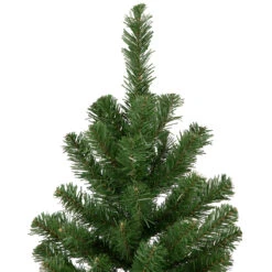 3' Blackwater Fir Medium Artificial Christmas Tree - Unlit -Xmas Trees Shop northlight b83522 3 31229.1667490053