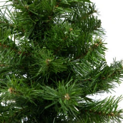 18" Medium Blackwater Fir Artificial Christmas Tree - Unlit -Xmas Trees Shop northlight b83529 1 98723.1667530758
