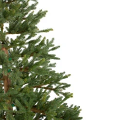 6.5' North Pine Artificial Christmas Tree, Unlit -Xmas Trees Shop northlight c584780 1 86270.1683224780