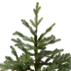 6.5' North Pine Artificial Christmas Tree, Unlit -Xmas Trees Shop northlight c584780 3 33044.1683224781