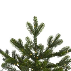 6.5' Pre-Lit Full Oregon Noble Fir Artificial Christmas Tree - Warm White LED Lights -Xmas Trees Shop northlight gb516800438 3 updated 98409.1667536344