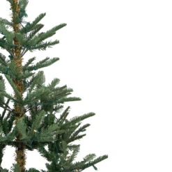 9' Pre-Lit Nordmann Fir Artificial Christmas Tree - Warm Clear LED Lights -Xmas Trees Shop northlight j00085 3 56643.1667536349