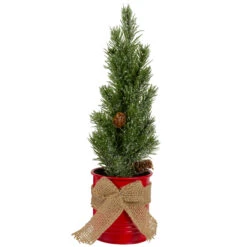 11.75" Frosted Upswept Mini Pine Christmas Tree In Red Tin Pot - Unlit