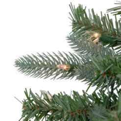 6.5' Pre-Lit Slim Granville Fraser Fir Artificial Christmas Tree, Clear Lights 9 6.5' Pre-Lit Slim Granville Fraser Fir Artificial Christmas Tree, Clear Lights -Xmas Trees Shop northlight sm92910 4 77309.1667530198