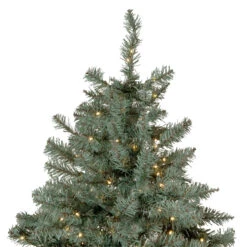 7.5' Pre-Lit Full Newport Spruce Artificial Christmas Tree, LED Lights -Xmas Trees Shop northlight sm92996 3 43856.1667535772