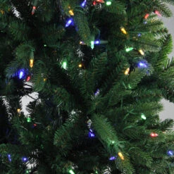 7.5' Pre-Lit Full Instant Connect Noble Fir Artificial Christmas Tree - Dual LED Lights 8 7.5' Pre-Lit Full Instant Connect Noble Fir Artificial Christmas Tree - Dual LED Lights -Xmas Trees Shop northlight sp15011 4 55408.1667536305