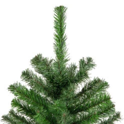 4' Colorado Spruce Full Artificial Christmas Tree, Unlit 7 4' Colorado Spruce Full Artificial Christmas Tree, Unlit -Xmas Trees Shop northlight v03972 3 76895.1667661872