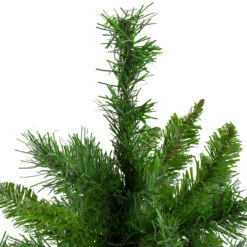 24" Mixed Kateson Fir Medium Artificial Christmas Tree - Unlit -Xmas Trees Shop northlight v03996 2 updated 69065.1667488325