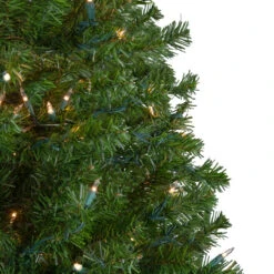 6' Pre-Lit Medium Canadian Pine Artificial Christmas Tree, Clear Lights 10 6' Pre-Lit Medium Canadian Pine Artificial Christmas Tree, Clear Lights -Xmas Trees Shop northlight v15883 1updated2022 11391.1667580400