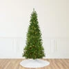 9' Pre-Lit Green Pencil Canadian Pine Artificial Christmas Tree - Clear Lights