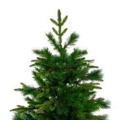 6.5' Medium Rosemary Emerald Angel Pine Artificial Christmas Tree - Unlit 6 6.5' Medium Rosemary Emerald Angel Pine Artificial Christmas Tree - Unlit -Xmas Trees Shop northlight v27336 2 95439.1667488283