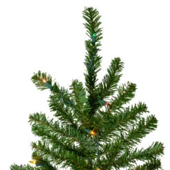 6.5' Pre-Lit Canadian Pine Artificial Pencil Christmas Tree - Multi Lights 8 6.5' Pre-Lit Canadian Pine Artificial Pencil Christmas Tree - Multi Lights -Xmas Trees Shop northlight v27348 2 83885.1667659715