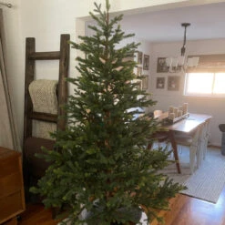6.5' North Pine Artificial Christmas Tree, Unlit -Xmas Trees Shop northlight v27365 cxpic v2 76873.1683224782