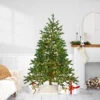 6.5' Pre-Lit Full North Pine Artificial Christmas Tree - Clear LED Lights
