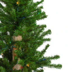 3' Pre-Lit Alpine Artificial Christmas Tree - Multi Lights 11 3' Pre-Lit Alpine Artificial Christmas Tree - Multi Lights -Xmas Trees Shop northlight v27431 1 46961.1667487621