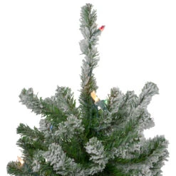 6' Pre-Lit Flocked Alpine Artificial Christmas Tree - Multi Lights -Xmas Trees Shop northlight v27442 3updated 97469.1667578066
