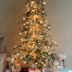 7' Pre-Lit Pencil Flocked Alpine Artificial Christmas Tree - Clear Lights 15 7' Pre-Lit Pencil Flocked Alpine Artificial Christmas Tree - Clear Lights -Xmas Trees Shop northlight v27443 cxpic 75082.1676305836