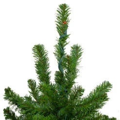 Set Of 3 Pre-Lit Slim Alpine Artificial Christmas Trees 5' - Multicolor Lights 9 Set Of 3 Pre-Lit Slim Alpine Artificial Christmas Trees 5' - Multicolor Lights -Xmas Trees Shop northlight v27451 3update 72545.1667578066