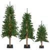Set Of 3 Pre-Lit Slim Alpine Artificial Christmas Trees 5' - Multicolor Lights
