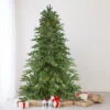 7.5' Pre-Lit Medium Mont Blanc Fir Artificial Christmas Tree - Dual Color LED Lights