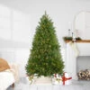 6.5' Pre-Lit Full Northern Pine Artificial Christmas Tree - Warm Clear LED Lights