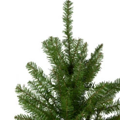 4' Northern Pine Medium Artificial Christmas Tree, Unlit -Xmas Trees Shop northlight z84469 2update 14092.1667662027
