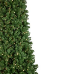 15' Pre-Lit Pendleton Spruce Slim Artificial Christmas Tree, Clear Lights 9 15' Pre-Lit Pendleton Spruce Slim Artificial Christmas Tree, Clear Lights -Xmas Trees Shop northlight z94039 2 41223.1680198176